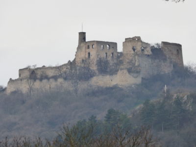 Falkenstein 1010416