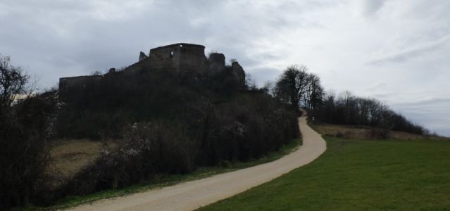 Falkenstein 1010417