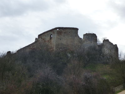 Falkenstein 1010419