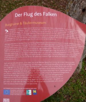 Falkenstein 1010426