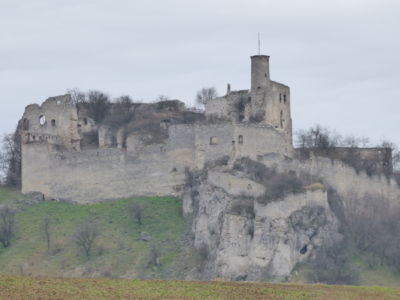 Falkenstein 1010428