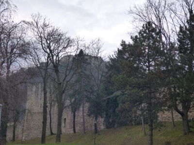 Hainburg Ad Donau 1010406