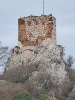 Kozi Hradek Mikulov 1010468