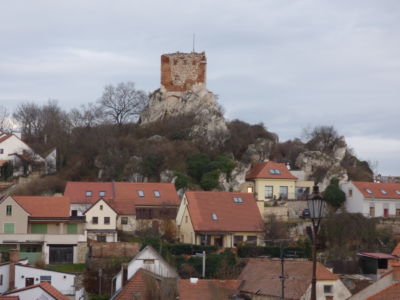 Kozi Hradek Mikulov 1010472