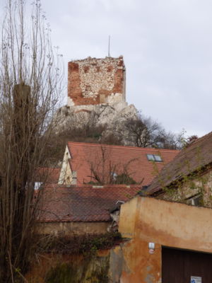 Kozi Hradek Mikulov 1010484