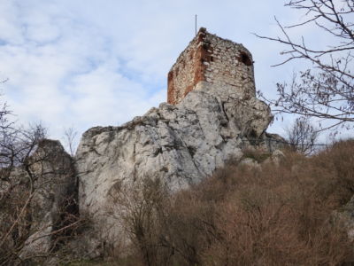 Kozi Hradek Mikulov 1010505